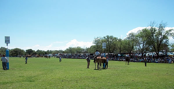 FOTO: Doma y Jineteada - 40° Edición Fiesta Provincial de la Ganadería