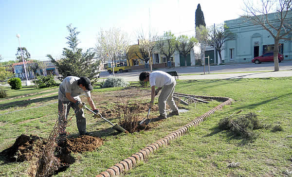 Trabajos de forestación en la Plaza Héroes de Cochicó