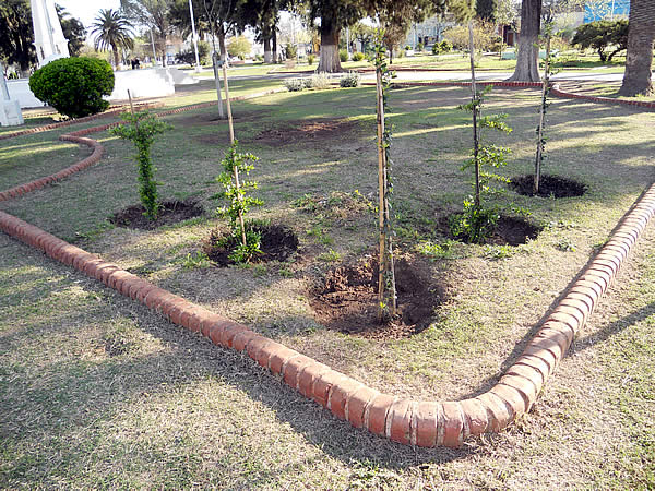 Trabajos de forestación en la Plaza Héroes de Cochicó