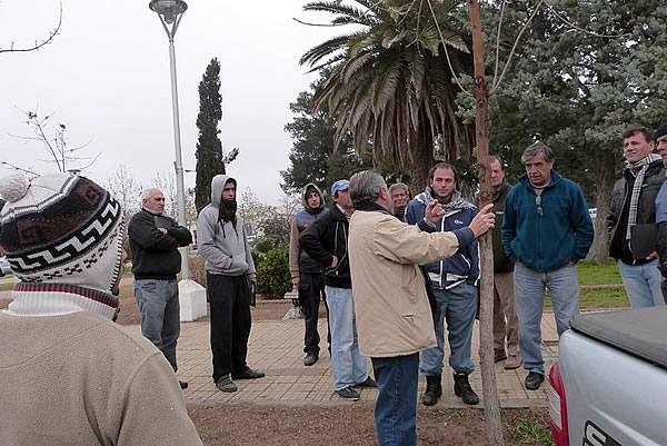 Curso de poda de arbolado urbano