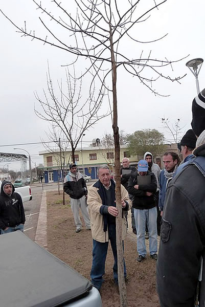 Curso de poda de arbolado urbano