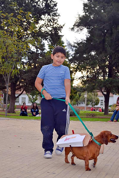 Actividades del Día del Animal