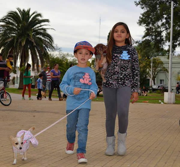 Actividades del Día del Animal