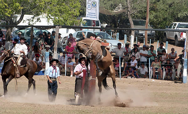 Fiesta Nacional de la Ganadería