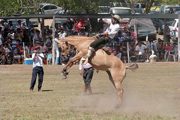 Fiesta Nacional de la Ganadería