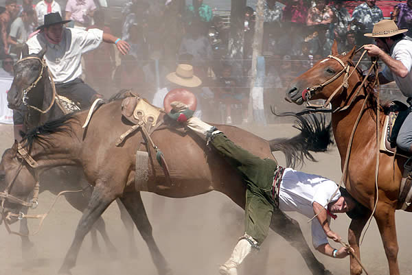 Fiesta Nacional de la Ganadería