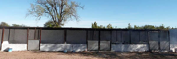 Se inauguró el Hogar Canino Municipal