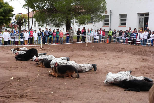 Día del Animal en la Escuela Nº 7