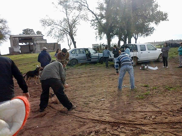 Taller de Construcción Natural “La Minga”