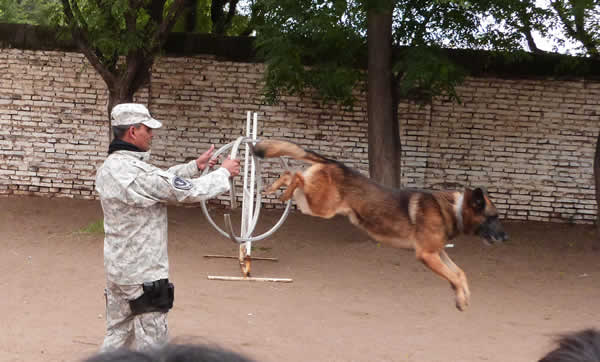 Día del Animal