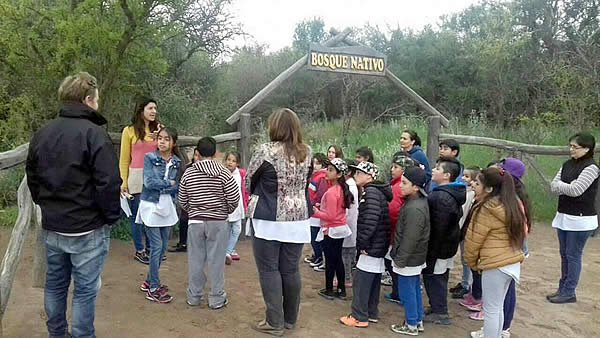 Recorriendo el Bosque Nativo