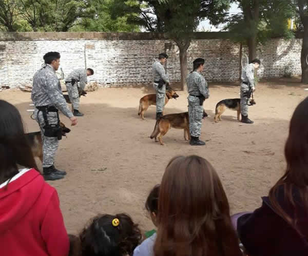 Brigada Canina