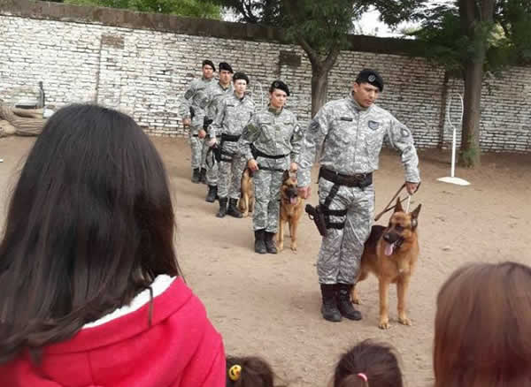 Brigada Canina