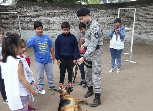 Brigada Canina