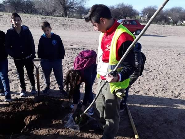 Forestación por el Día del Árbol