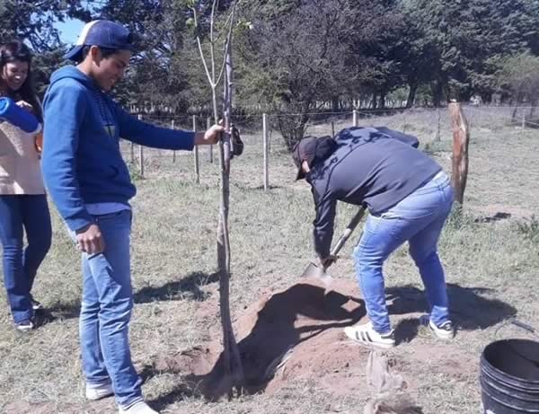 Forestando la Plaza de la Memoria