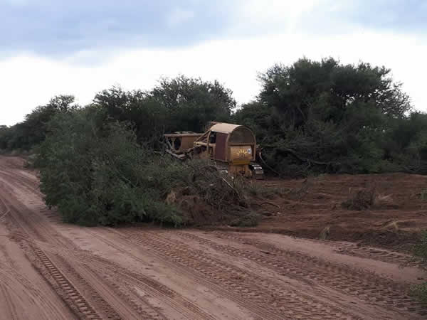 Desmonte y limpieza de caminos vecinales