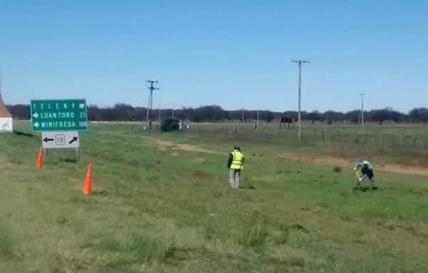 Forestación en Ruta 10