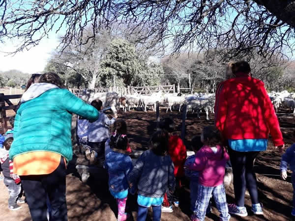 Centro de Desarrollo Infantil Upa La La