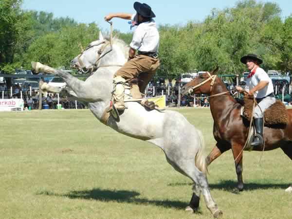 Fiesta Nacional de la Ganadería 2019