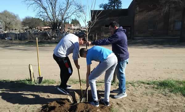 Día del Árbol