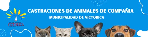 castraciones gratuitas para animales de compañía